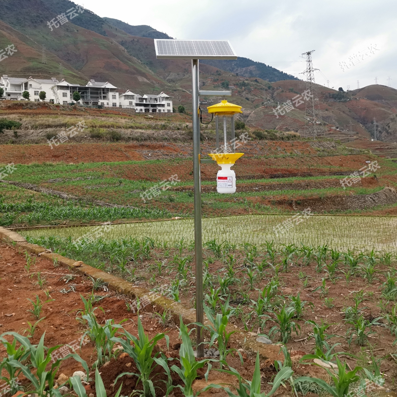 太陽能頻振式殺蟲燈