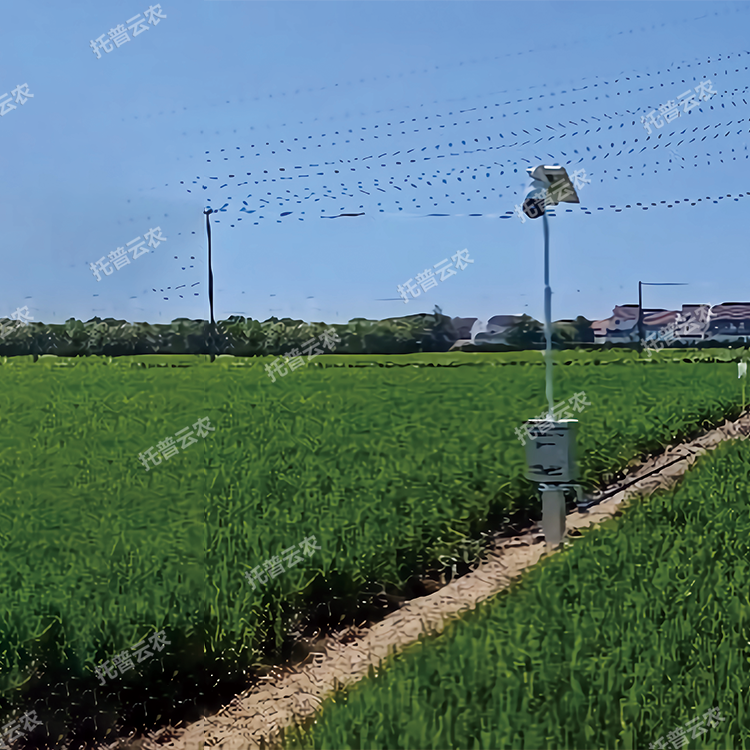 自動(dòng)趕蛾智能統(tǒng)計(jì)桿